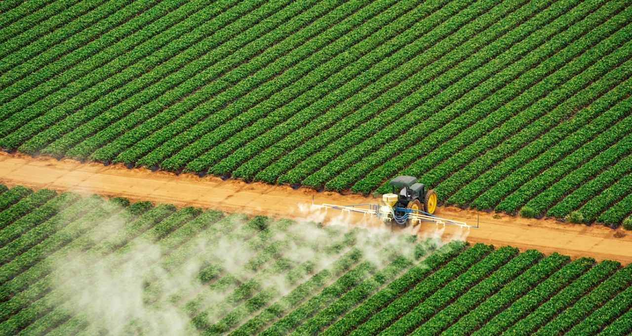 fertilizantes ormuz