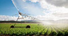 agronegocio agro fiagros agricultura