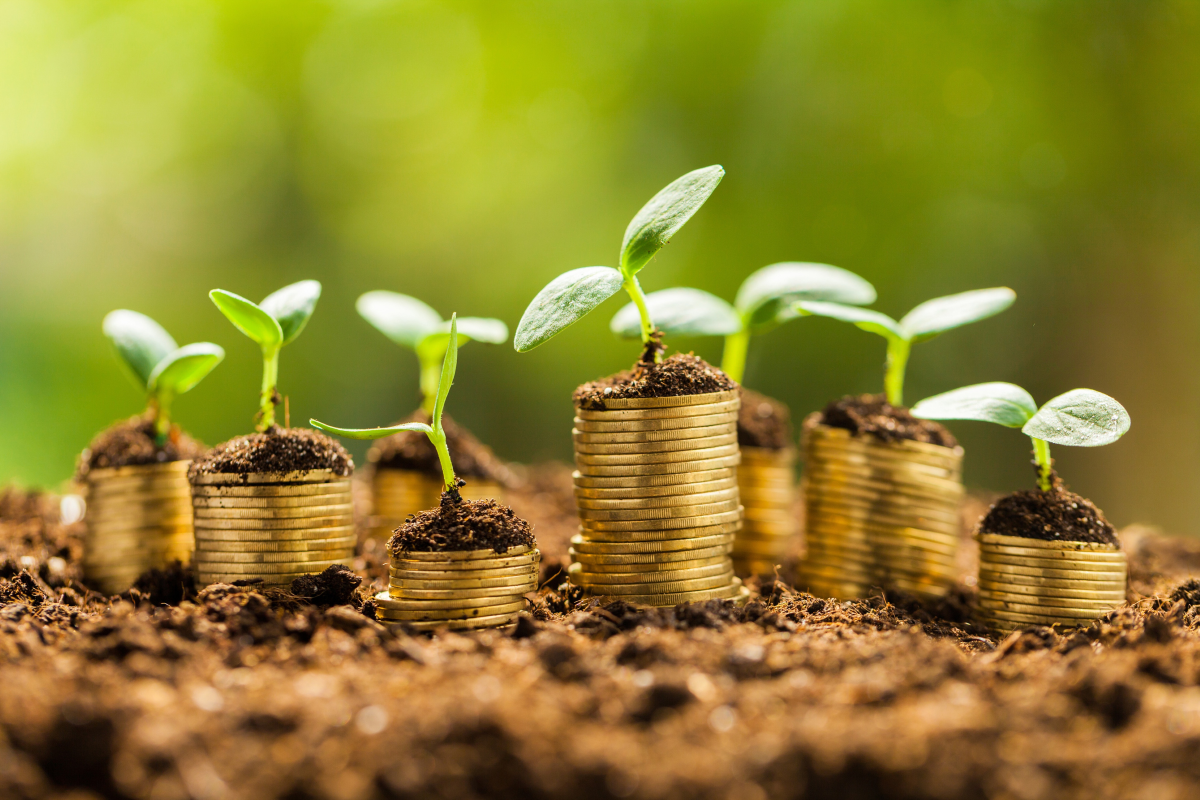 investimentos lucros dividendos renda extra