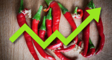 pimenta investimento lucros