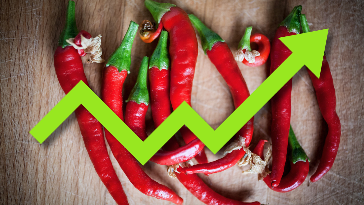 pimenta investimento lucros