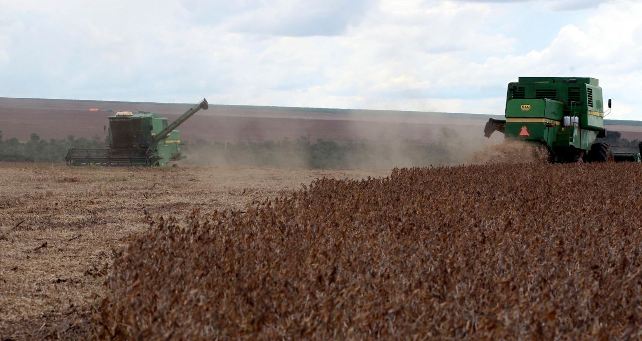 Trabalhadores colhem soja em uma fazenda na cidade de Primavera do Leste, no estado do Mato Grosso, na região central do Brasil