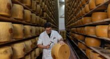 Avaliador inspeciona queijo parmesão em Montecavolo di Quattro Castella