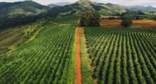 risco agronegócio agrolend (2)