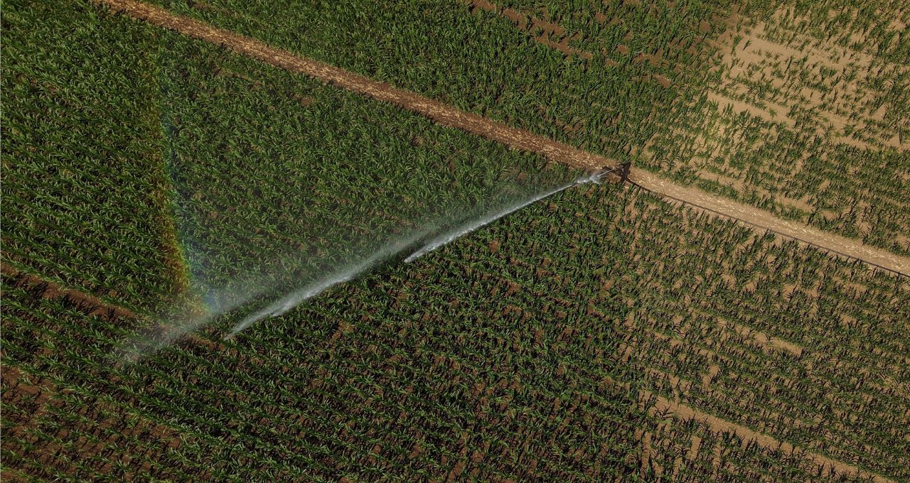 Trigo sobe com riscos da guerra na Ucrânia e perspectiva otimista do USDA sobre estoques globais