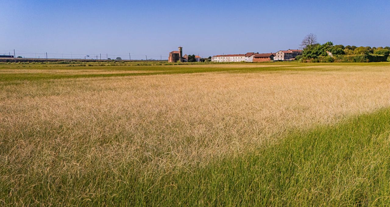 agro destaques da semana mais lidas