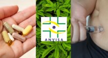 Agência Nacional de Vigilância Sanitária (Anvisa)