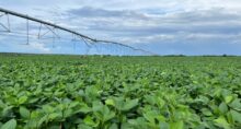 brasilagro agro3 (1)