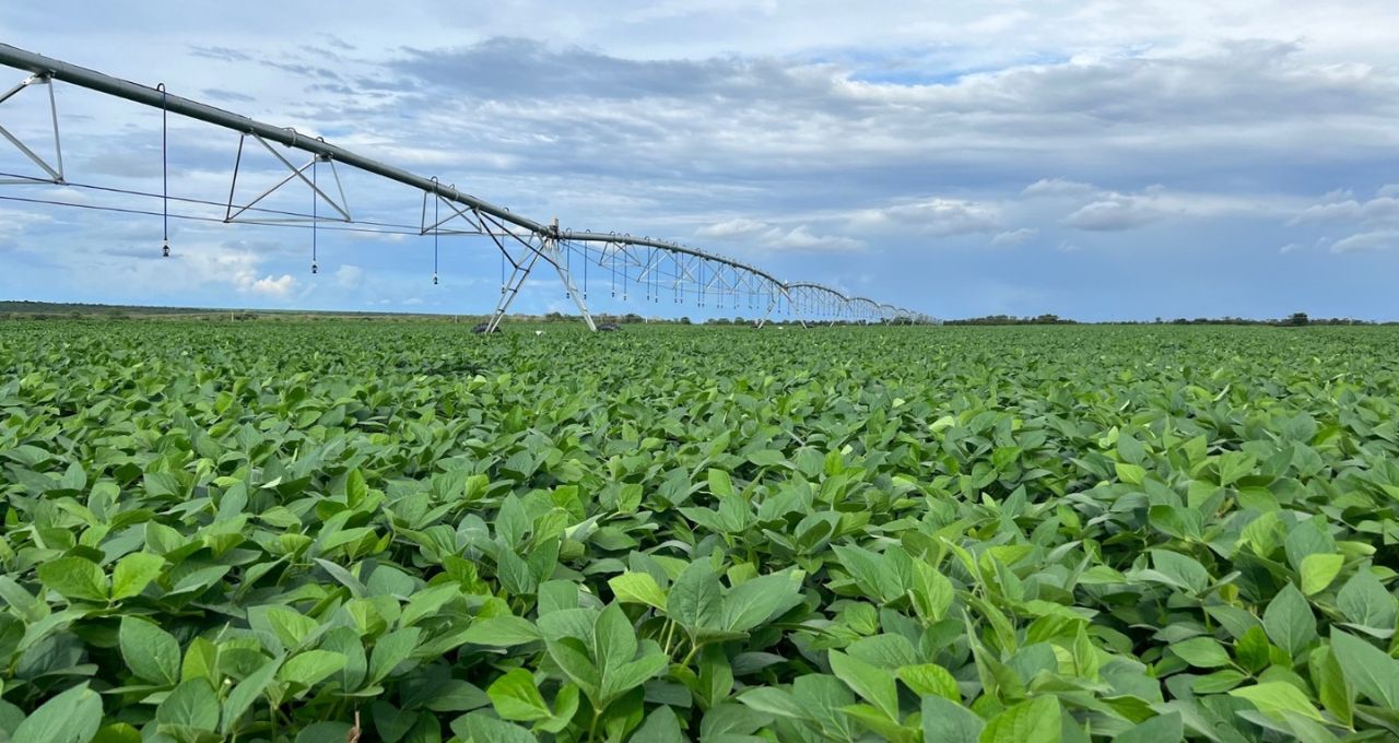 brasilagro agro3 (1)