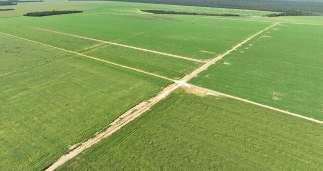 brasilagro agro3