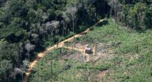 Area florestal devastada em Porto Velho 19 de maio de 2009