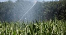 Irrigação de um milharal durante uma onda de calor em Parigne-l'Évêque, perto de Le Mans 8 de julho de 2026