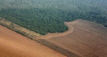 Uma imagem aérea mostra a floresta amazônica cercada por áreas desmatadas para a preparação do plantio de soja, no estado do Mato Grosso