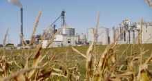 Plantação de milho e usina de etanol em Illinois (EUA)