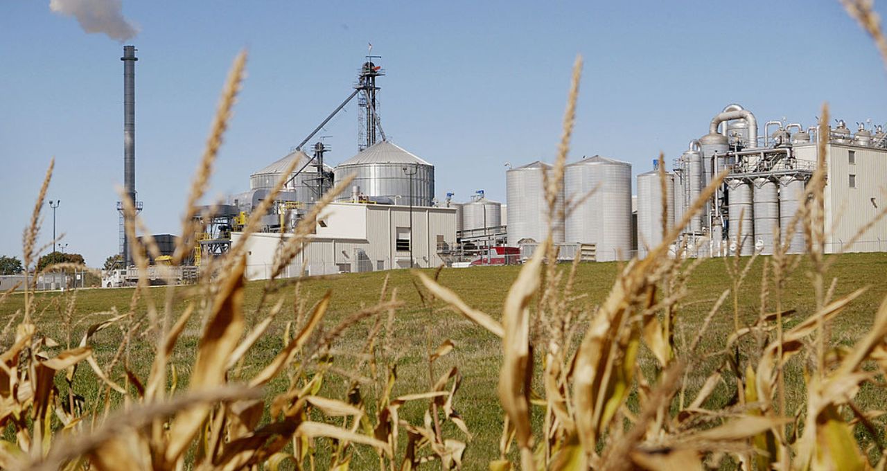 Otimismo voltou? Santander recomenda compra para 2 ações do agronegócio — e uma delas