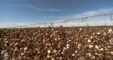 slc agrícola máquinas campo slce3 (1)
