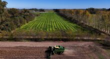 Imagem captada por drone mostra uma colheitadeira trabalhando em uma plantação de soja em San Andrés de Giles, nos arredores de Buenos Aires, na Argentina