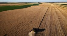 Agricultores argentinos colhem os últimos campos de uma safra de trigo dos sonhos