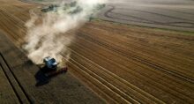 Uma colheitadeira debulha trigo em um campo em Seeluebbe, na Alemanha