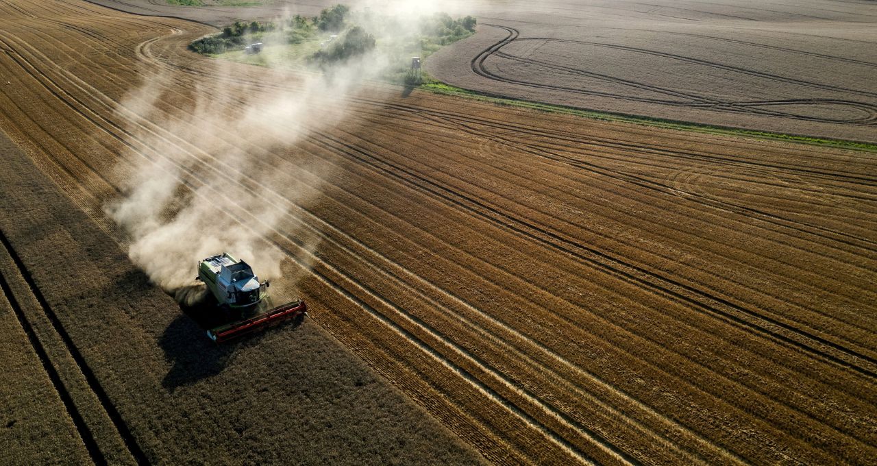 Uma colheitadeira debulha trigo em um campo em Seeluebbe, na Alemanha