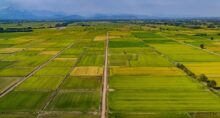 agricultura regenerativa agronegócio