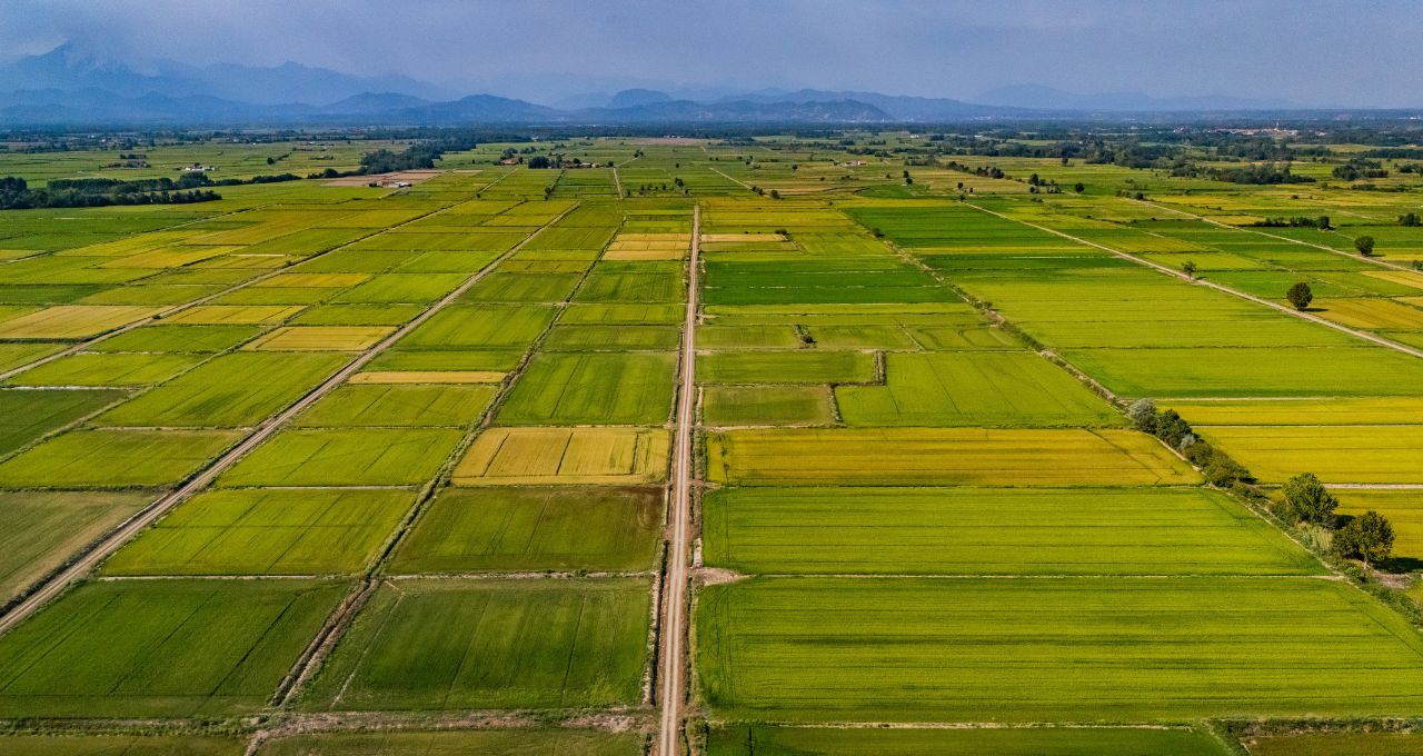 agricultura regenerativa agronegócio