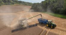 agro augusto cury