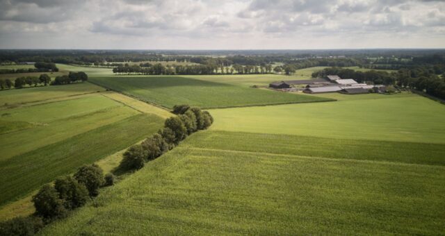 eudr agronegócio
