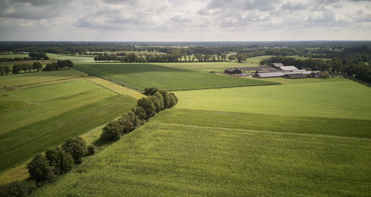 eudr agronegócio
