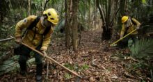 amazônia desmatamento