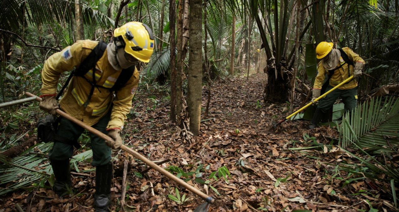 amazônia desmatamento