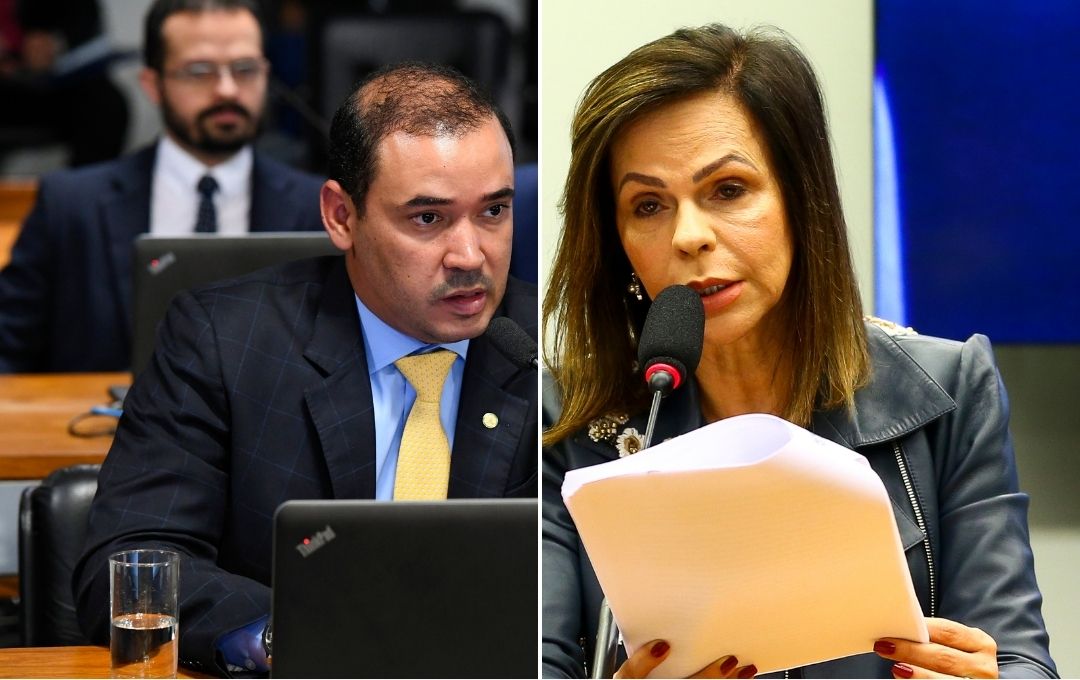 Professora Dorinha (União Brasil) e Vicentinho Júnior (PSDB) eleições 2026